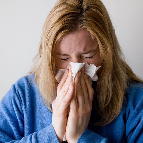 Vue interieure de la Pharmacie Elbaz